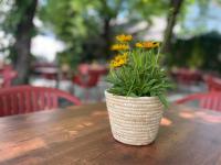 Zahrada ubytování Bierhotel Loncium & Privatbrauerei