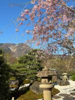 ゲストハウスの近くで見られる自然の景観