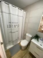 Un baño de Apartamento La Saeta