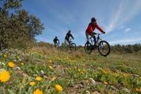 three people riding bikes down a hill in a field at Maison de Romagers in Aumont-Aubrac