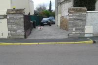 a cat walking down a street next to a driveway at appartement au rez de jardin in Morangis