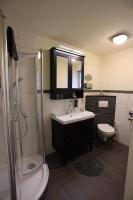 a bathroom with a sink and a shower and a toilet at Pension Alte Scheune in Melsungen