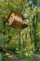 a bird house in a tree in the forest at Dihan Evasion in Ploemel