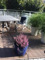 Zahrada ubytování Playa Baltis Apartamenty Club di Mare