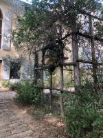 Vonkajšia záhrada v ubytovaní Une chapelle en soie
