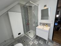 a bathroom with a shower and a sink at Le Briais in Melun