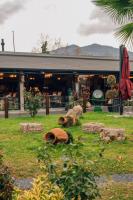 Gallery image of Gölevi Resort Sapanca in Sapanca