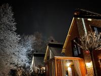 a house at night with snow covered trees at Villa Breza Brezovice in Brezovica