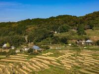 別荘の近くで見られる自然の景観
