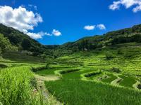 別荘の近くで見られる自然の景観