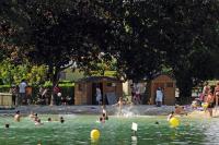 Hostia v ubytovaní Camping les Portes du Perche