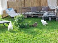 Plán poschodí v ubytovaní LES BELLES DU PRINTEMPS