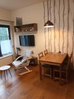 TV a/nebo společenská místnost v ubytování Apartmán Šumavský Buk 14 Brčálník