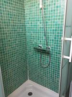 a green tiled bathroom with a shower with a toilet at Le Clos du Buisson in Saint-Julien-de-la-Liègue