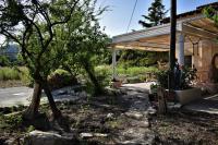 A garden outside Dolichi House