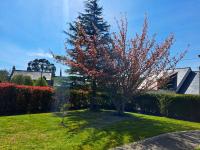 Ogród w obiekcie Maison cosy à Saint-Méloir-des-Ondes avec jardin privé