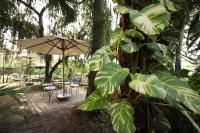 a tree with an umbrella and some tables and chairs at Victoria Chau Doc Hotel in Chau Doc