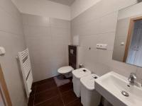 Koupelna v ubytování Apartmán Všemina 300