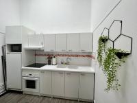 Kuchyňa alebo kuchynka v ubytovaní Duplex en plein cœur de Malo-Les-Bains