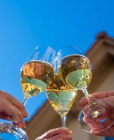 two people holding up glasses of white wine at Altstadthof Freinsheim in Freinsheim