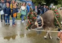 Hosté ubytování Angelas Ferienwohnungen Oberstaufen