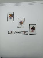 a wall with pictures of insects on it at Condomínio Residencial Mar Azul in Imbituba