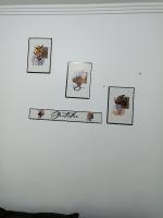 a row of pictures on a white wall at Condomínio Residencial Mar Azul in Imbituba