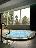 Bazén v ubytovaní Hotel Nad Czernicą alebo v jeho blízkosti