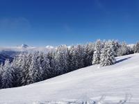 Stallion d15 MEGEVE v zime