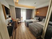 a hotel room with two beds and a television at Anthemis Hotel in Istanbul