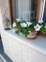 a potted plant sitting on a window sill at Aux Berges du Canal in Capestang