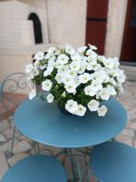a blue table with a vase of white flowers on it at Aux Berges du Canal in Capestang