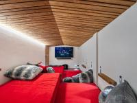Telewizja i/lub zestaw kina domowego w obiekcie Chalet de prestige avec jacuzzi, sauna et cinéma - FR-1-570-42