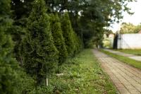 Jardin de l&#39;&eacute;tablissement ENIGMA