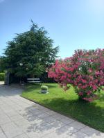 Vonkajšia záhrada v ubytovaní Villa Henne