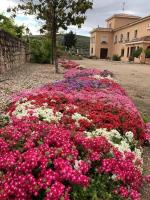 A garden outside La Almedina: Palacio de Foronda