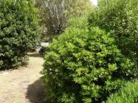 Vonkajšia záhrada v ubytovaní Maison familiale proche plage avec jardin, terrasse et 6 couchages à L'Épine - FR-1-224B-184
