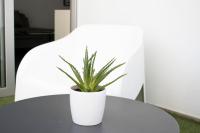 Půdorys ubytování Glabur Stays - The Amazing 1 BDR - Executive apt Nicosia Center Free Parking & WiFi