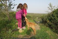Deti v ubytovaní Camping en Molino Dorado