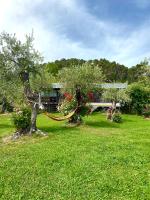 a hammock hanging from a tree in a yard at Azienda agricola Della Mezzaluna in Stiava