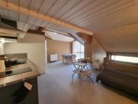 Kuchnia lub aneks kuchenny w obiekcie Gîte et studio avec cheminée, terrasse, salle de jeux et nature préservée à La Versanne - FR-1-496-280