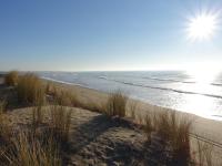 Plan piętra w obiekcie Holiday Home Les Lauriers Roses by Interhome
