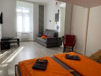 TV a/nebo společenská místnost v ubytování Sunflowers Apartman