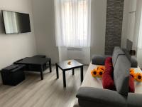 TV a/nebo společenská místnost v ubytování Sunflowers Apartman