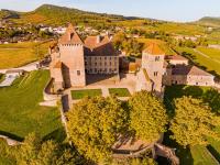 an aerial view of an old castle with trees at Château de Pierreclos in Pierreclos