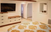 Telewizja i/lub zestaw kina domowego w obiekcie Stunning Apartment In Villes Sur Auzon