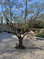 Vonkajšia záhrada v ubytovaní “La belle vie” en Provence