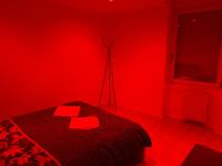 Łóżko lub łóżka w pokoju w obiekcie Appartement 2ème étage 42m2 hyper centre ville / parking gratuit