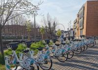 Jazda na bicykli v okolí ubytovania Oldtown Shelter Apartment with free private parking