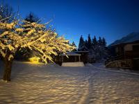 a snow covered yard with a tree at night at Appartement Waldmoos in Ellmau